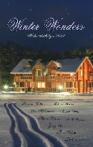 The novel Winter Wonders book cover on aecurzon.wordpress.com